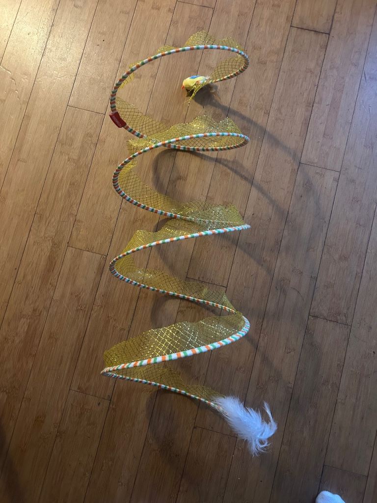 Spiral tunnel kitten toy 