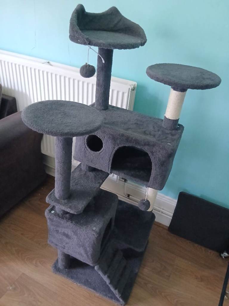 Cat Bed