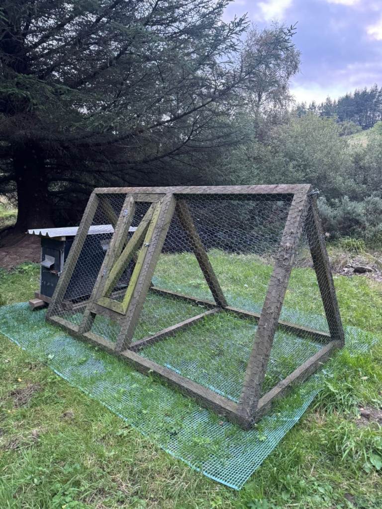 Chicken coop and run