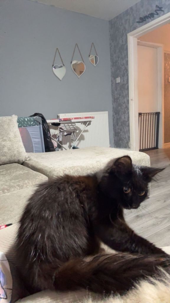 2 female duo they come in a pair