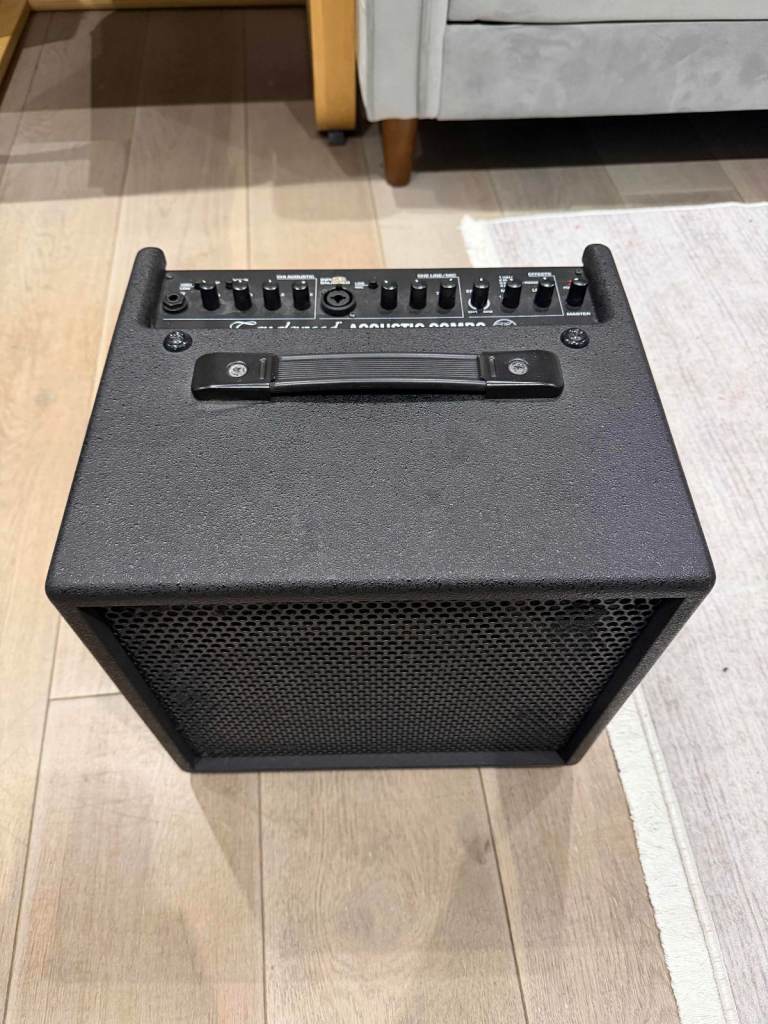 image for Tanglewood T6 Acoustic Combo 60W – Working, DSP/Effects Faulty