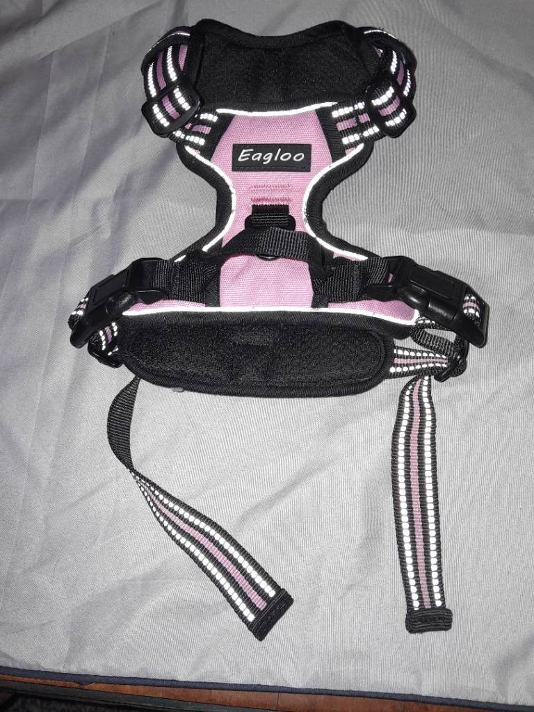 Dog Harnesses New