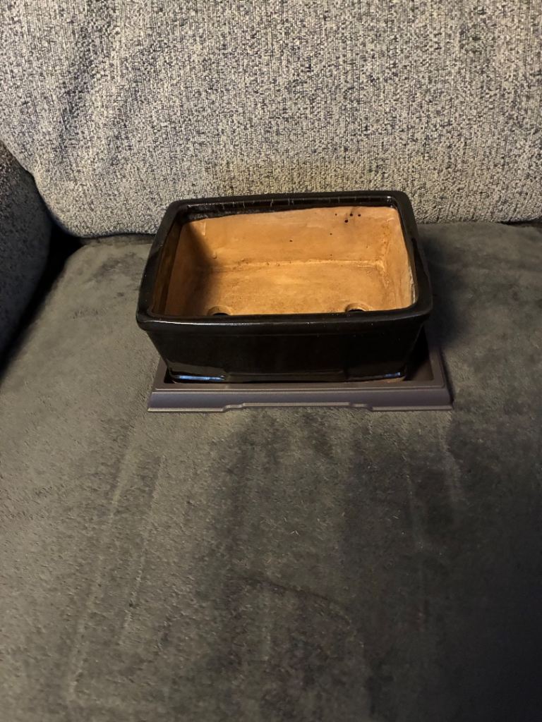 Bonsai Pot