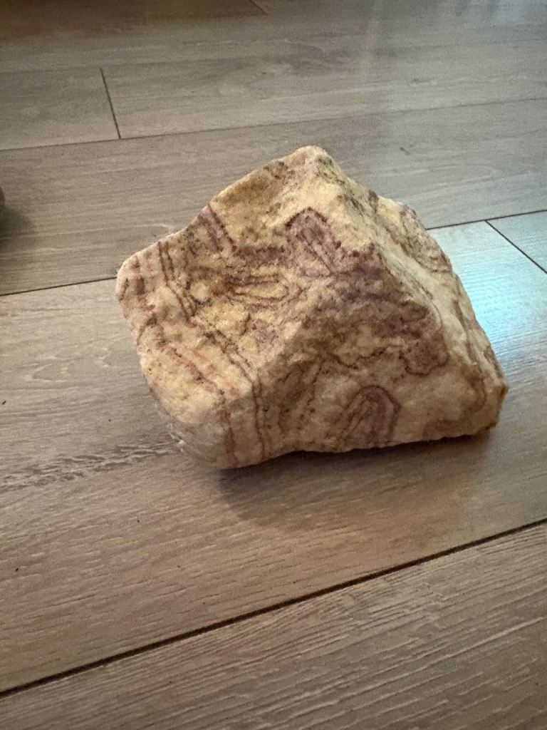 Fish tank aquarium vivarium reptile stone