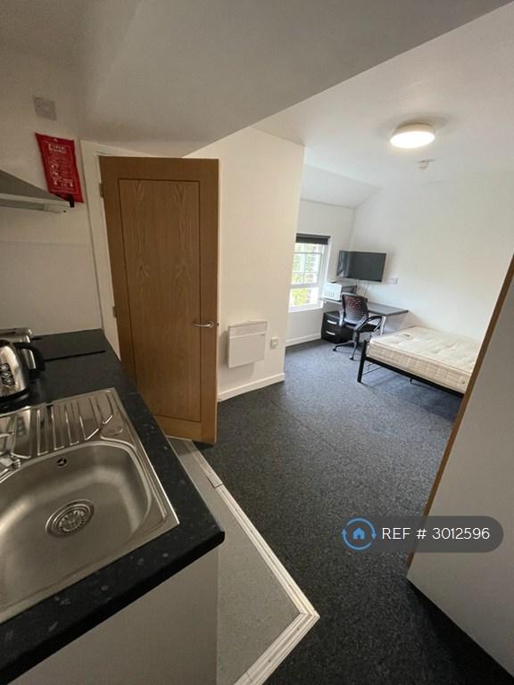 Studio flat in Regent Road, Leicester, LE1 (#3012596)