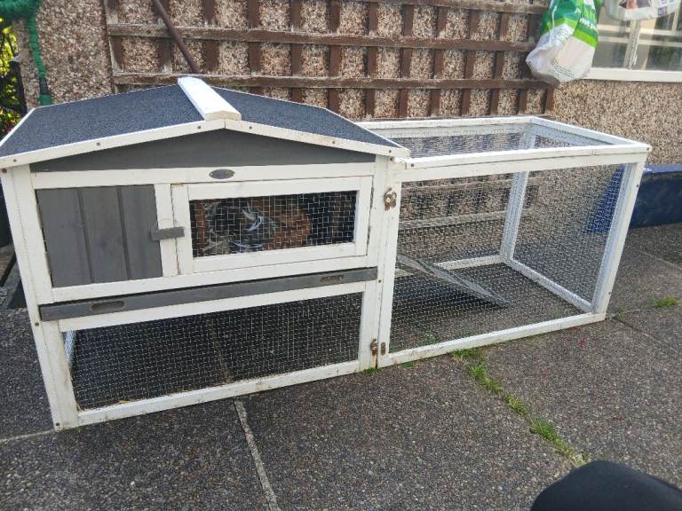 Guinea pig hutch and run.