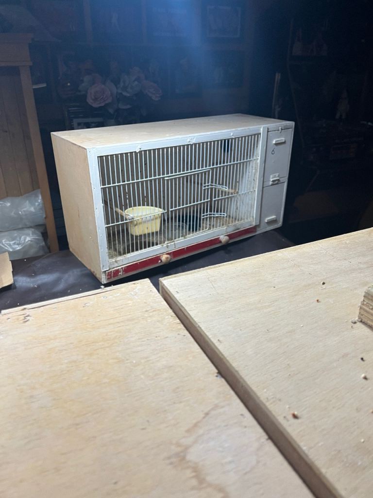 Budgie breeding cages ( cheap )