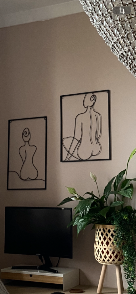 Two Wire Art Pictures 