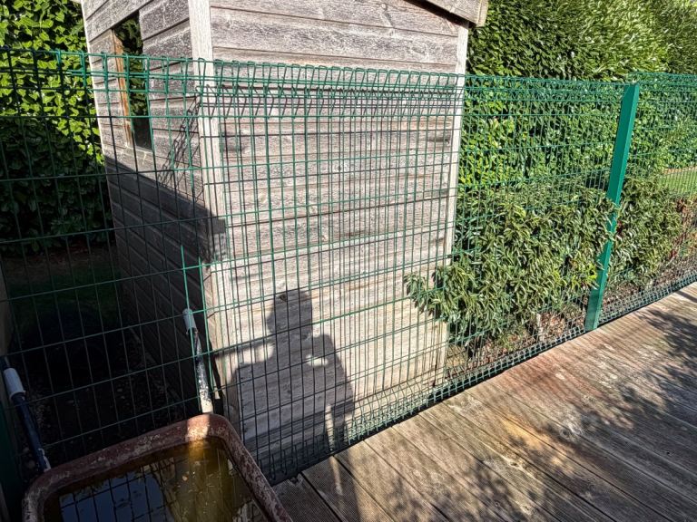 Galvanized Dog Run panels