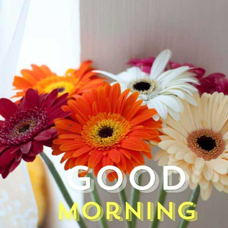 Dbl Room to let W14 0SR