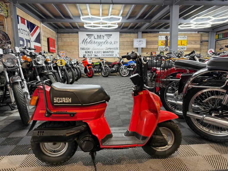 1981 HONDA SQUASH 50 * VERY RARE CLASSIC JDM SCOOTER * 2 STROKE