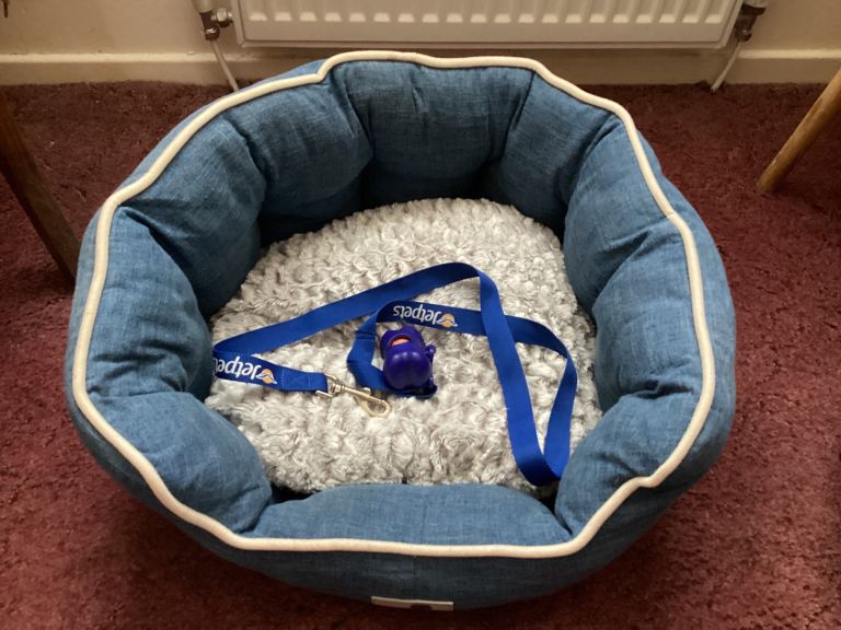 Dog bed and lead.