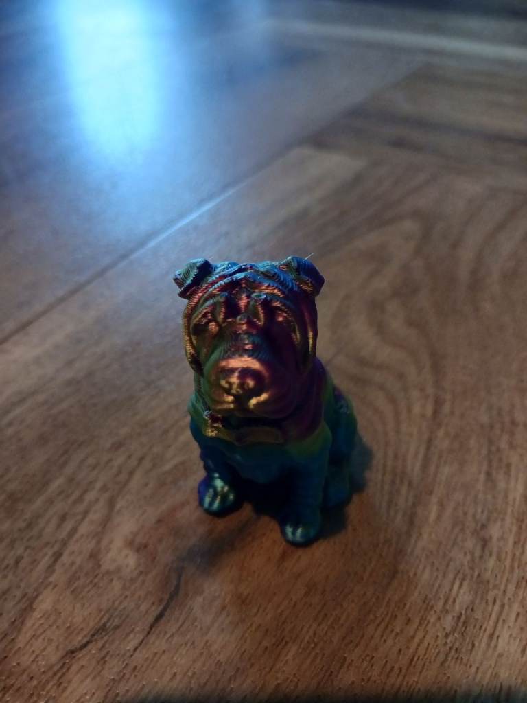Rainbow dog