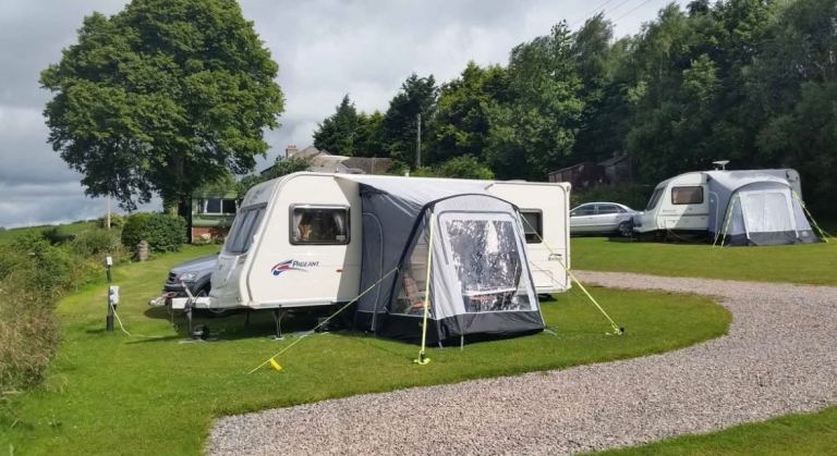 Bailey pageant burgundy