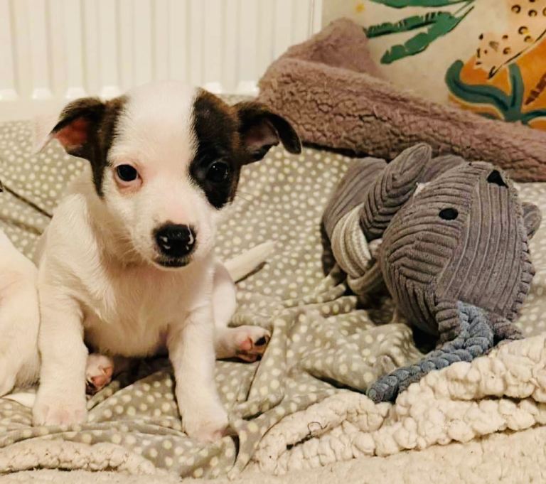 Last little girl ready now