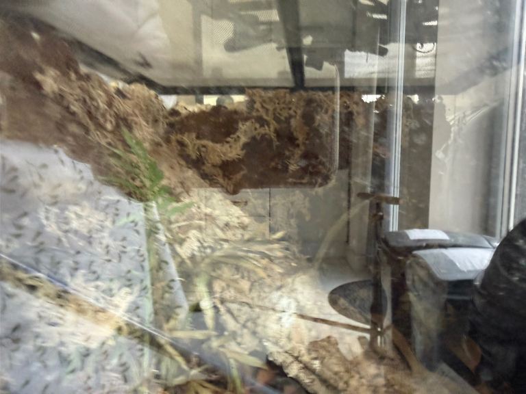 Glass Terrarium/Vivarium with Accessories