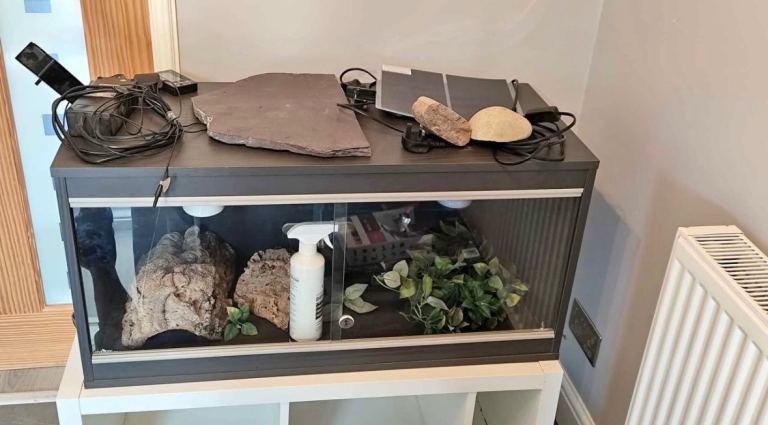 Grey Vivarium 