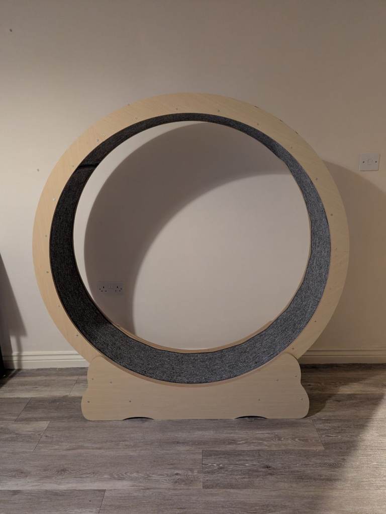 Cat exercise wheel 