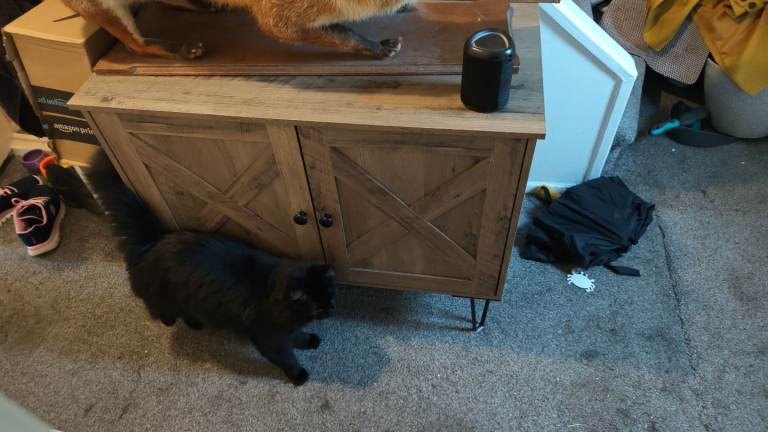 Cat litter tray enclose