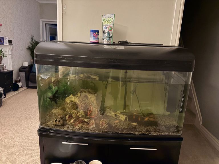 Fish tanks 