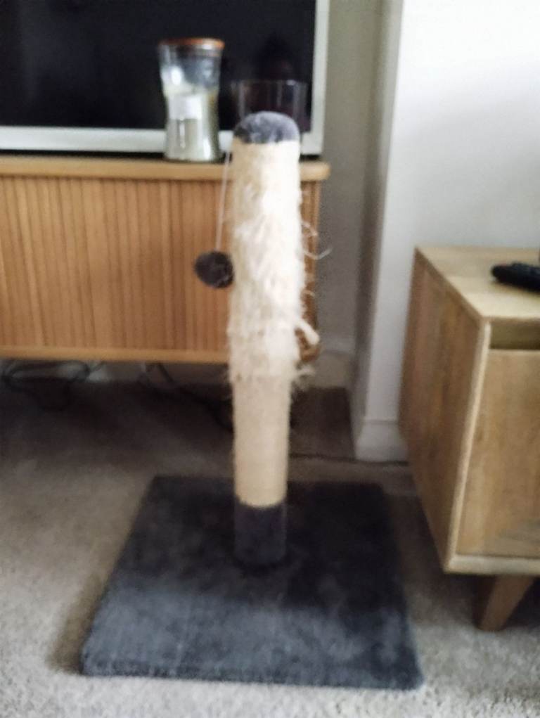 Cat scratching post large 