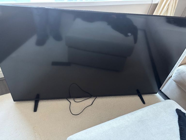 Smashed 55 inch tv bush