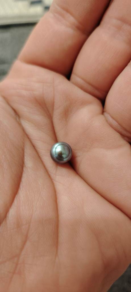 Natural South sea black pearl with certificate 