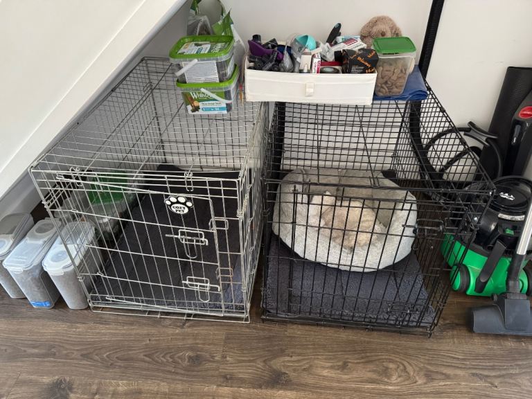 Dog crates 