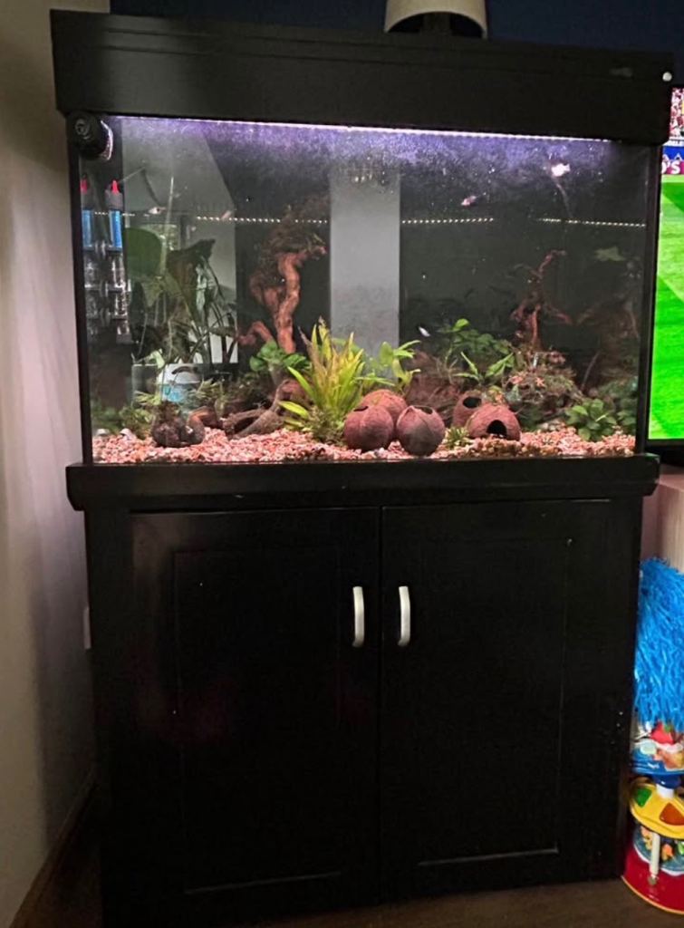  🐠 Stunning Aquarium Setup – Excellent Condition – Complete Package 🐠