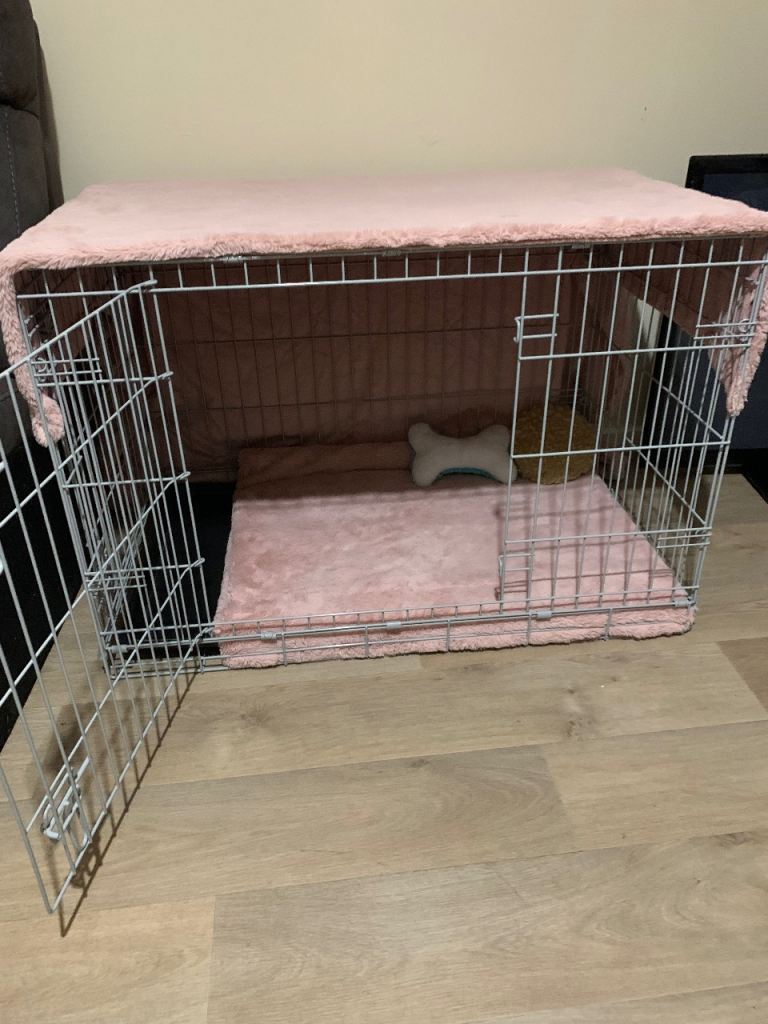 Dog cage 