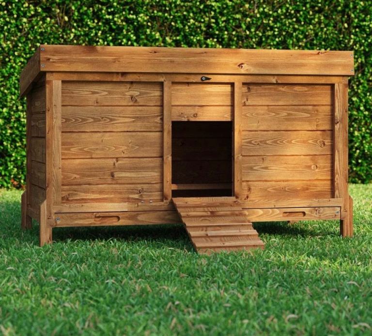 New Chicken Coop Hen House