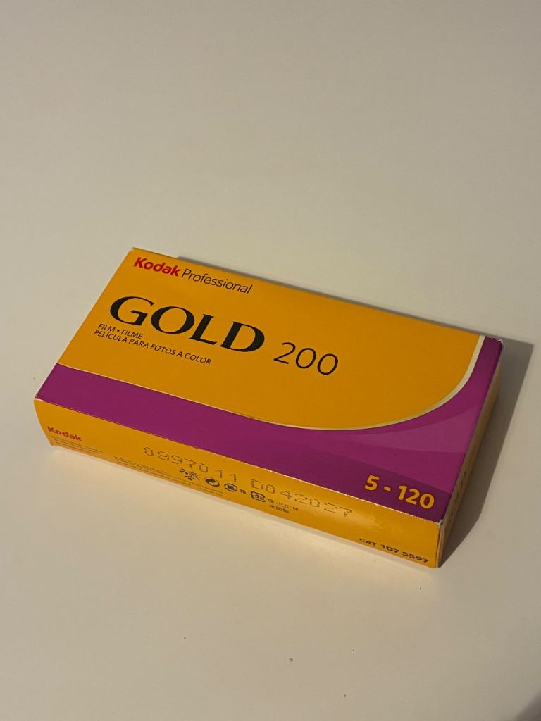 Kodak Gold 200 (+Ilford HP5 Plus 400)