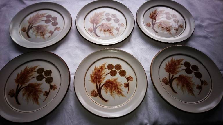 Vintage 70's/80's Denby Cotswold design dinner plates