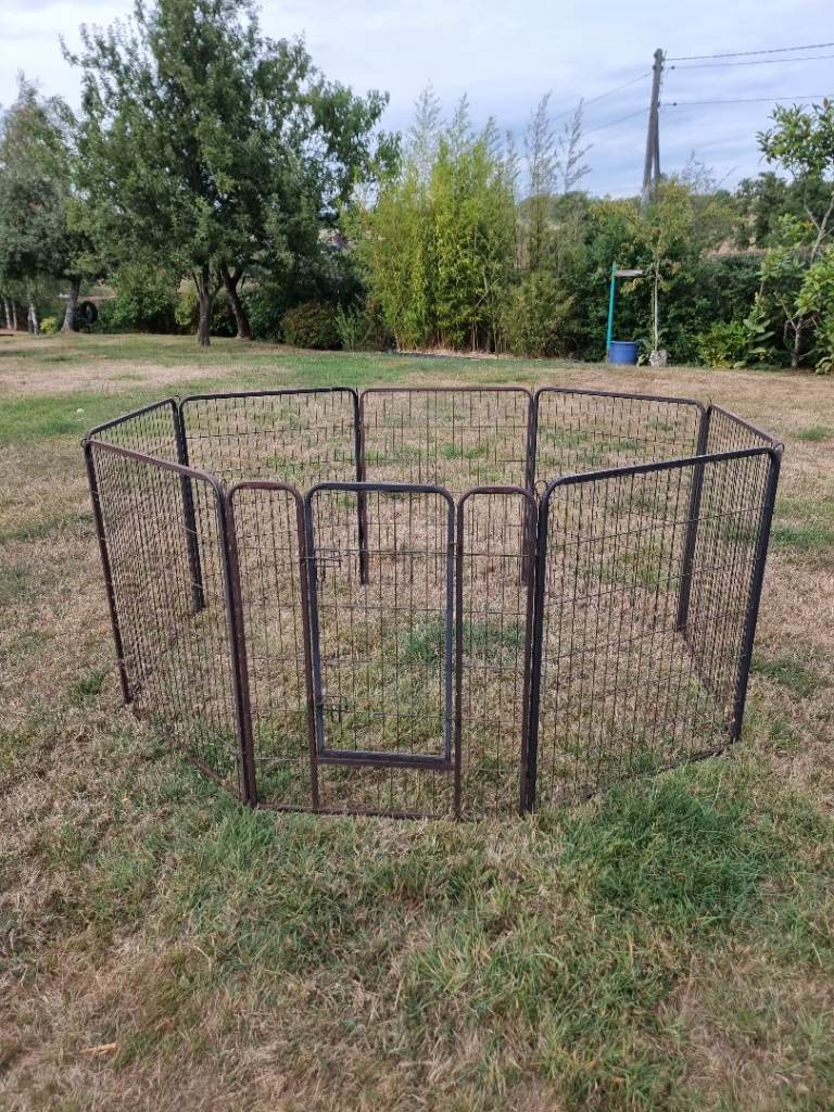 8 panel dog run