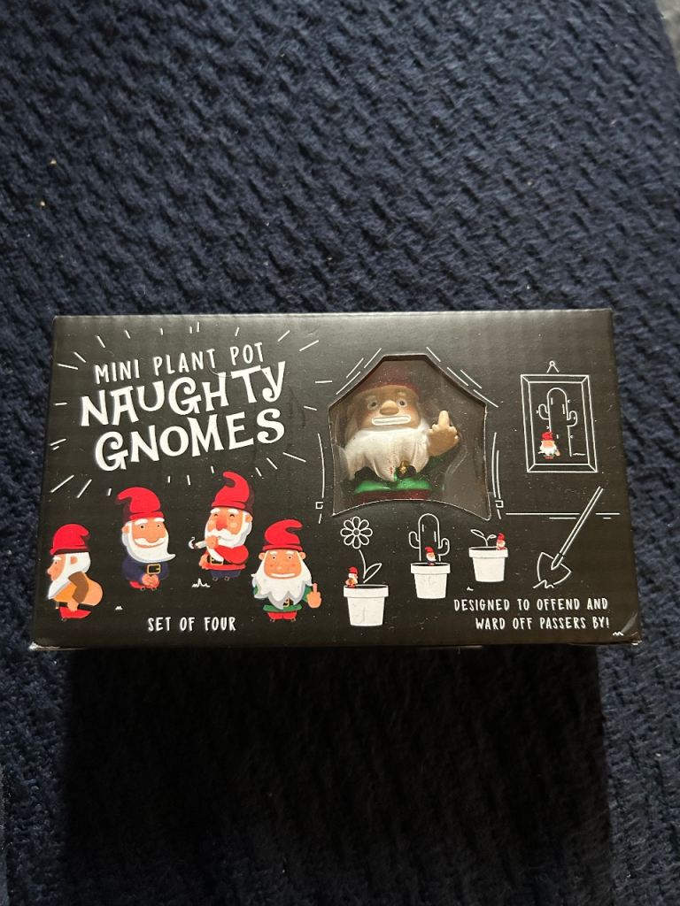Brand New Set of Four 'Naughty Gnomes' Mini Plant Pot Decorations