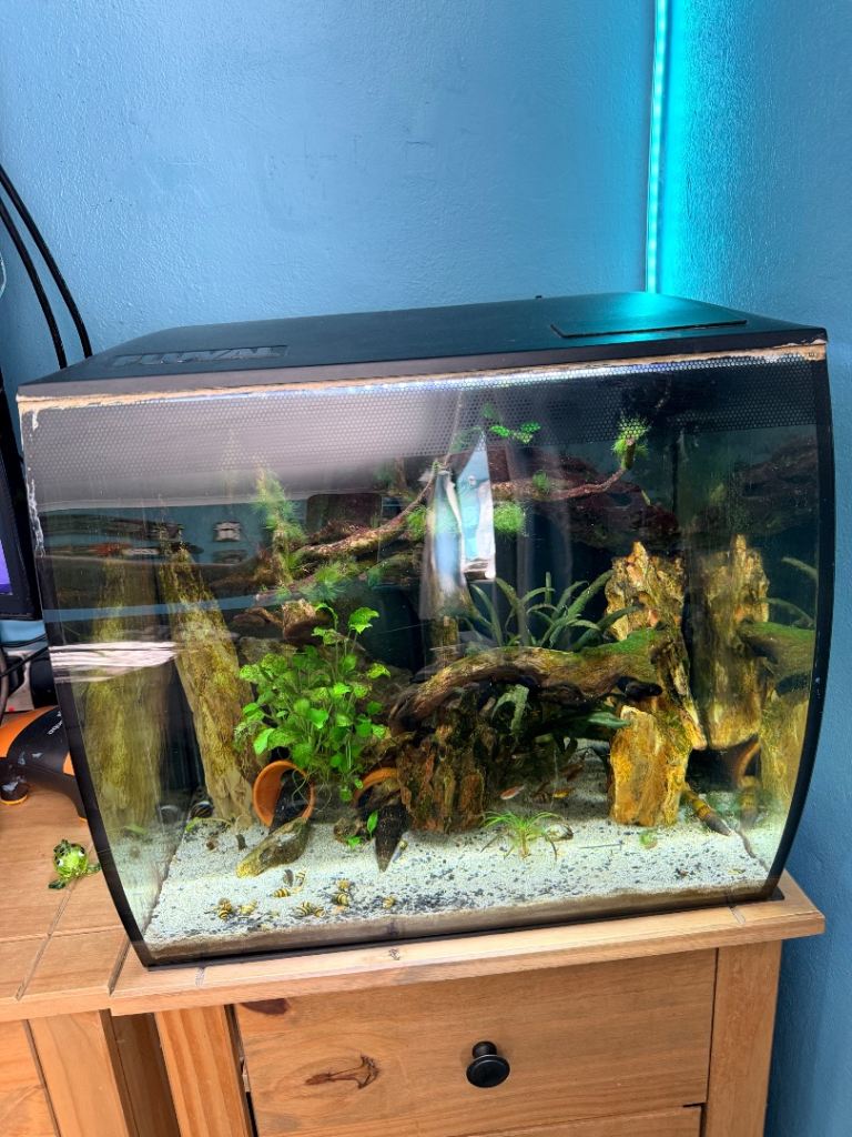 fulval flex 57l aquarium 
