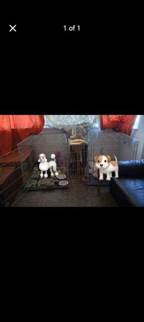 Extra large grey crate