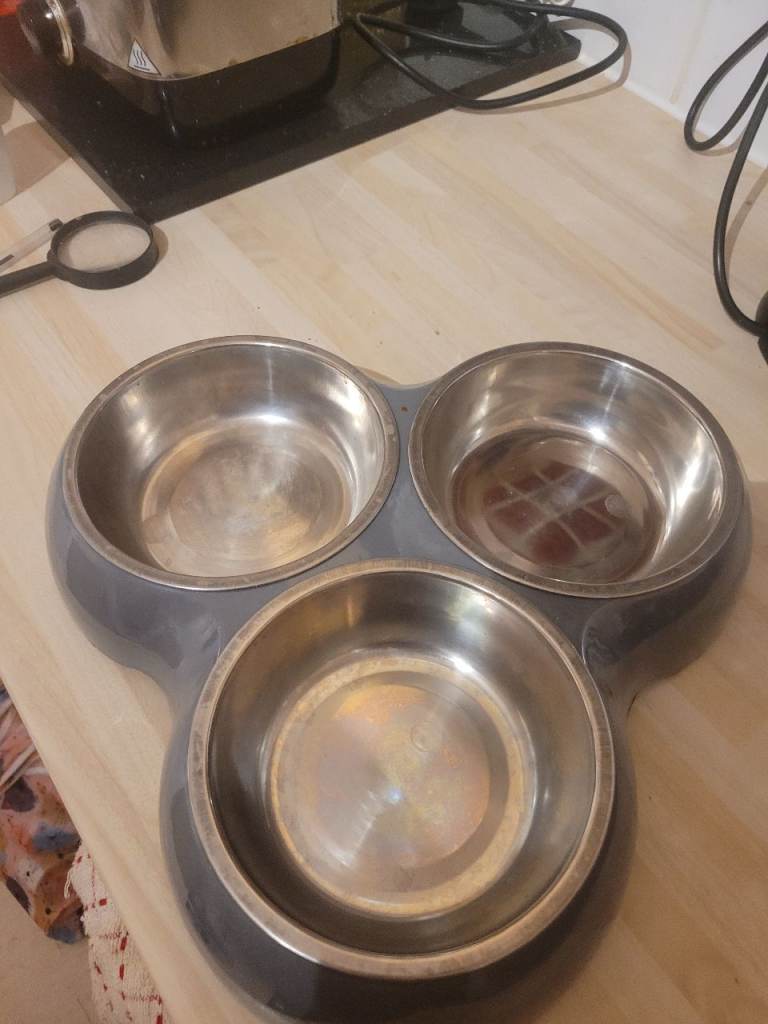Triple Feeder for cats/small dogs