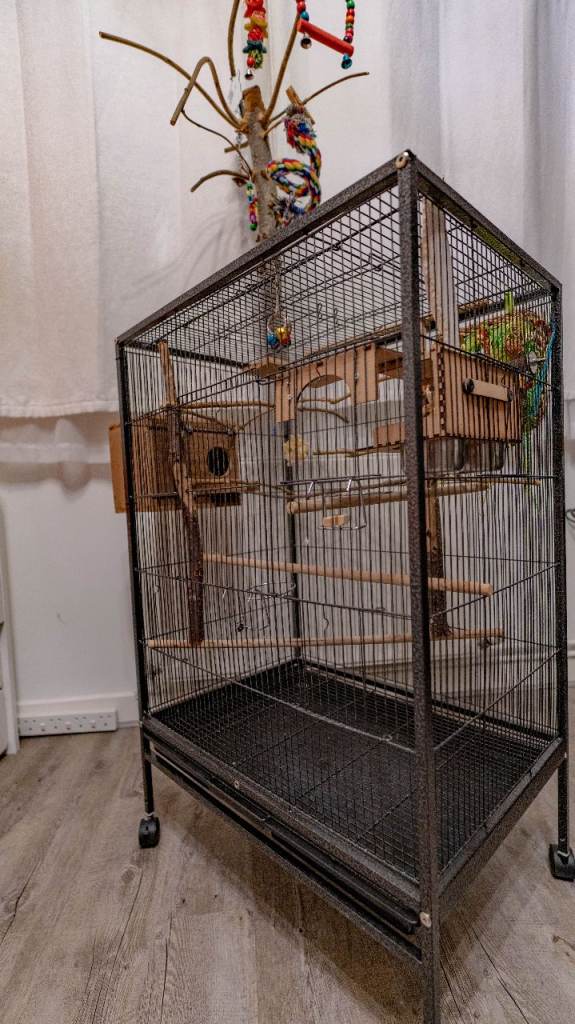 Budgie bird cage