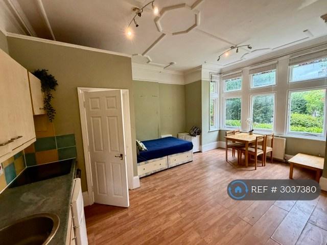 Studio flat in Chiswick High Road, London, W4 (#3037380)