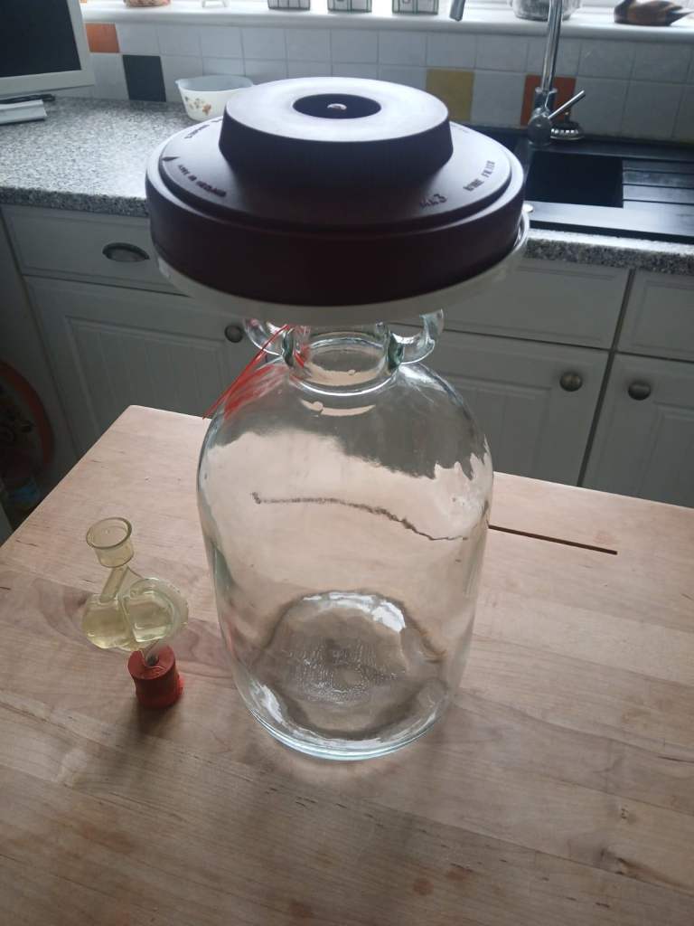 12 x 1 Gallon Demijohns with Airlocks and 1 Wine Filter