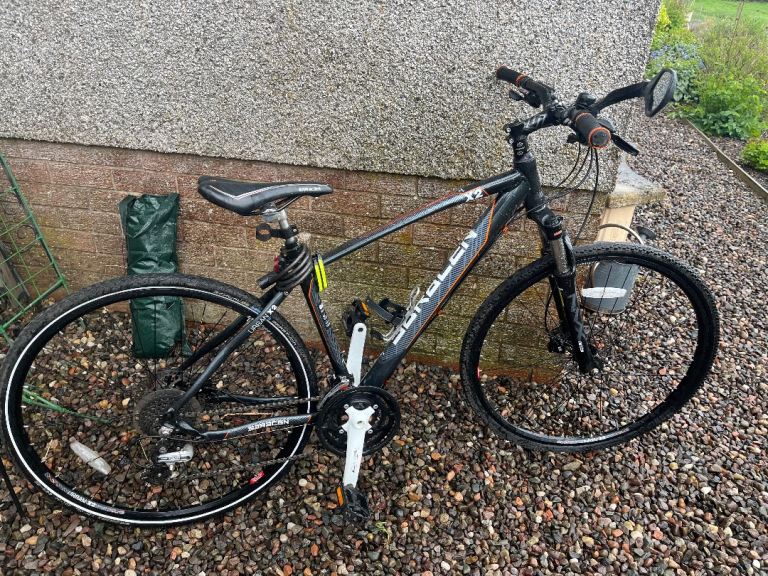 Saracen hybrid 17