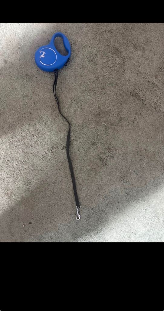 Flexi dog lead and colla 5 m long