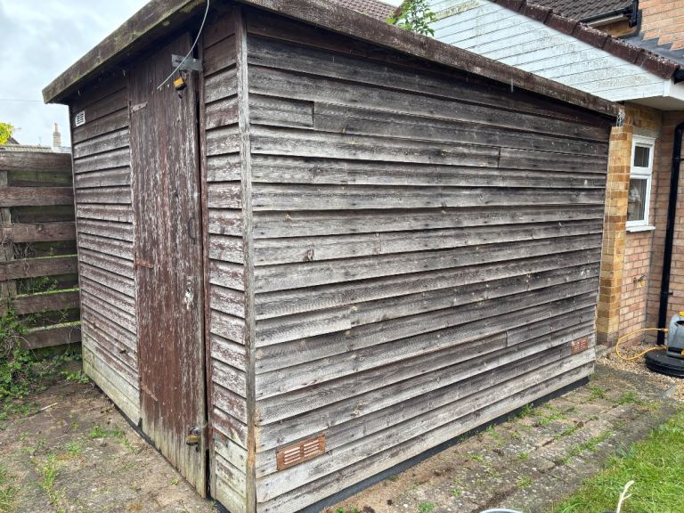 Free shed!