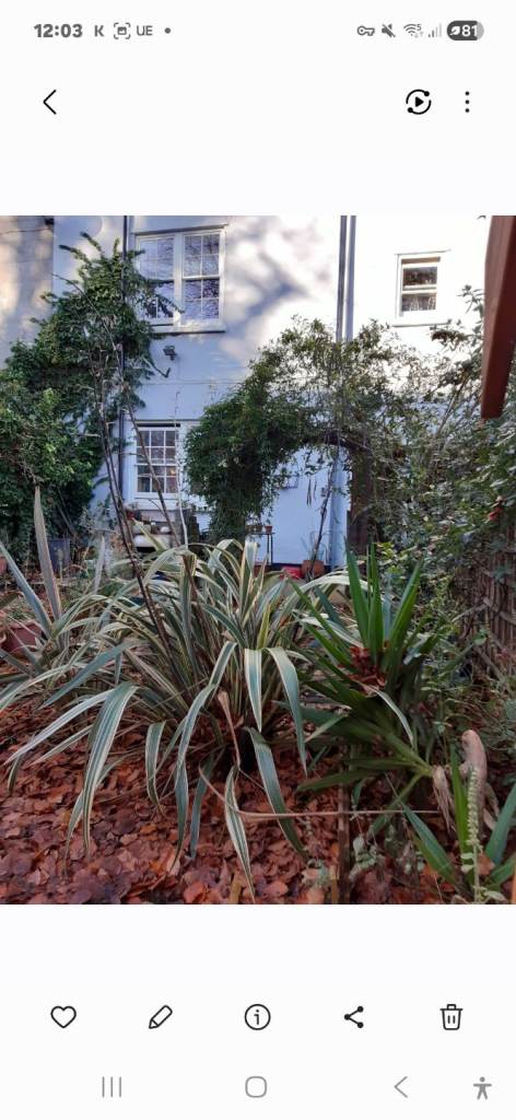 Large double Bedroom 