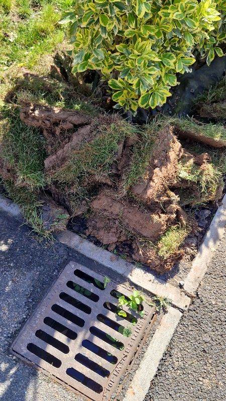 Free soil and turf