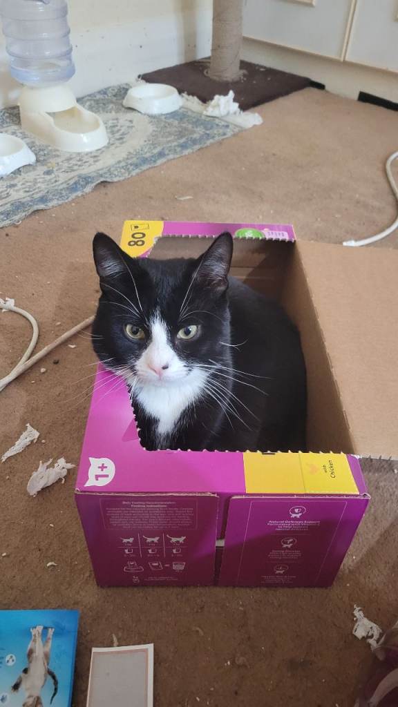 Male & female 1yr and 2yrs of age