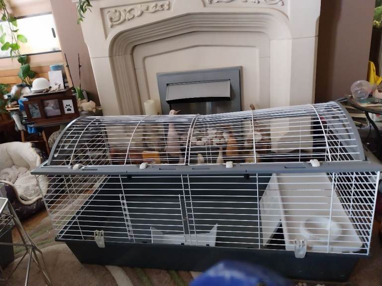 Indoor rabbit cage 
