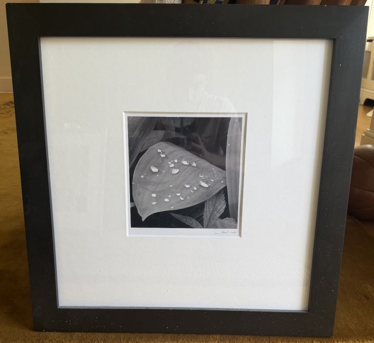 Jan Töve Signed Fine Art Nature Photograph – Framed Black & White Wall Art
