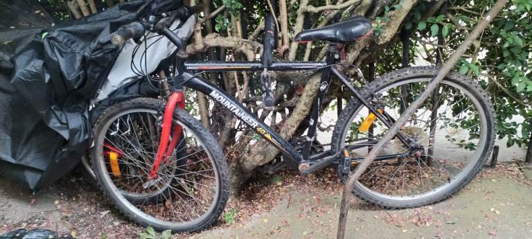Bicycle 